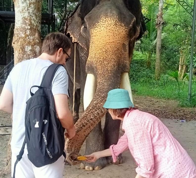Marari Eclipse Homestays Alappuzha Eksteriør billede